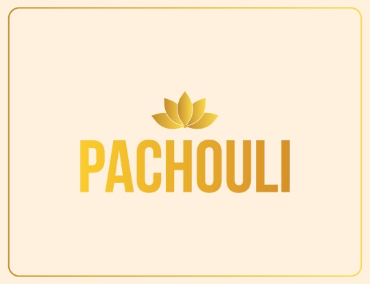 Pachouli Malviya Nagar